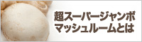 超スーパージャンボマッシュルームとは